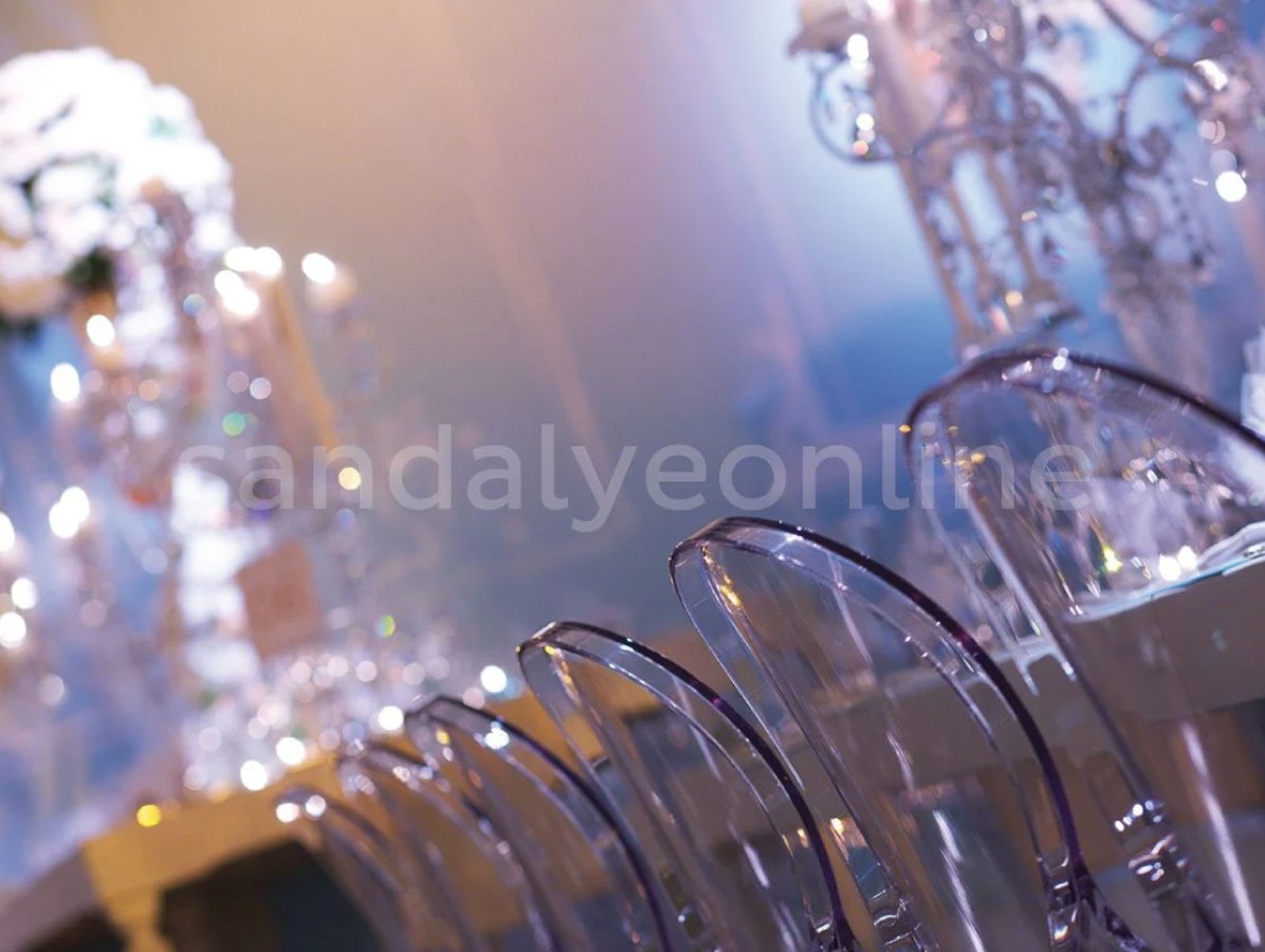 chair-online-elizabeth-transparent-detail