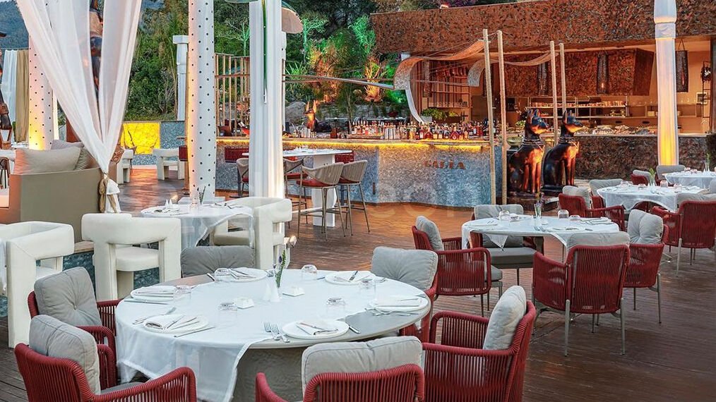 Contracting Your Dream Tables and Chairs for Your Dream Café