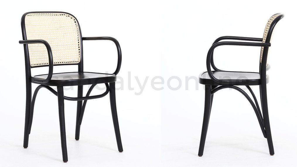 Tonet Chairs in the Living Room