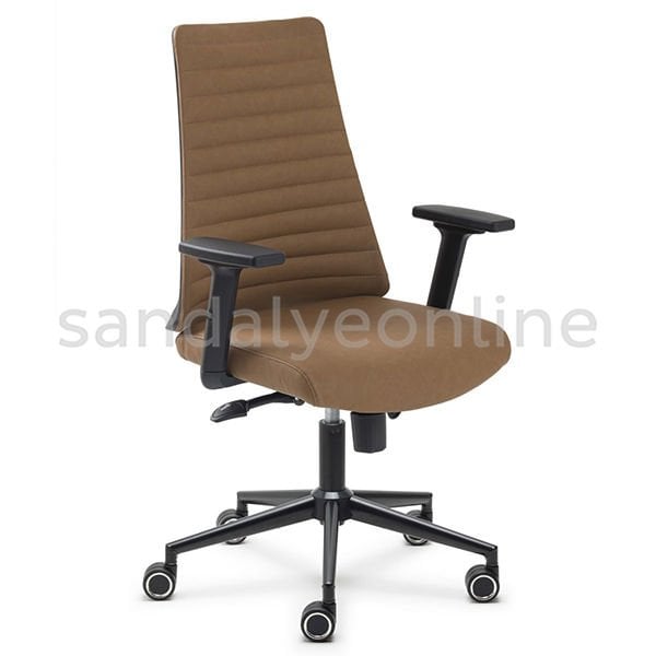 Olarc Study Chair