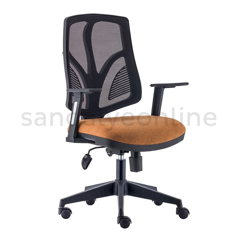 Aşir Study Chair