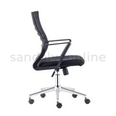 Fausta Meeting Chair