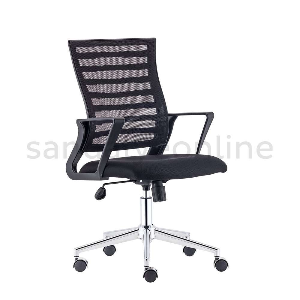 Fausta Meeting Chair