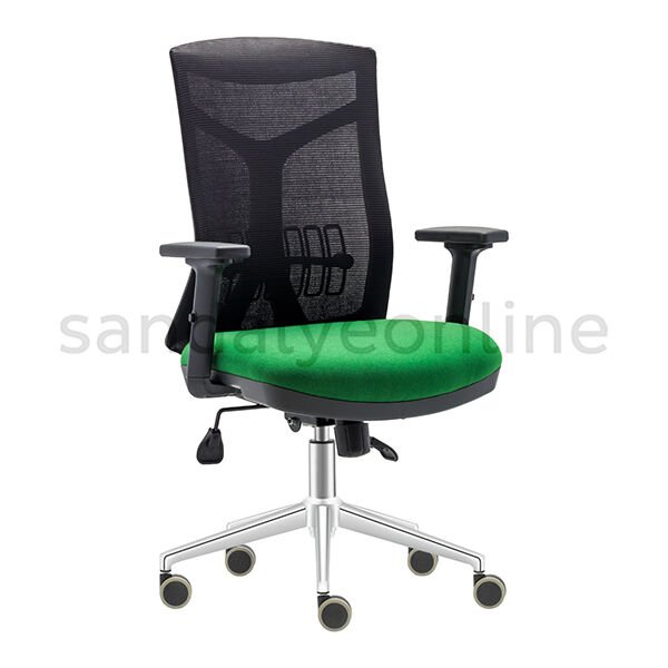 Ageva Study Chair