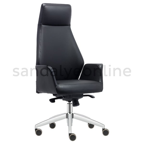 Apil Yönetici Koltuğu