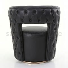 Viyana Upholstered Accent Chair